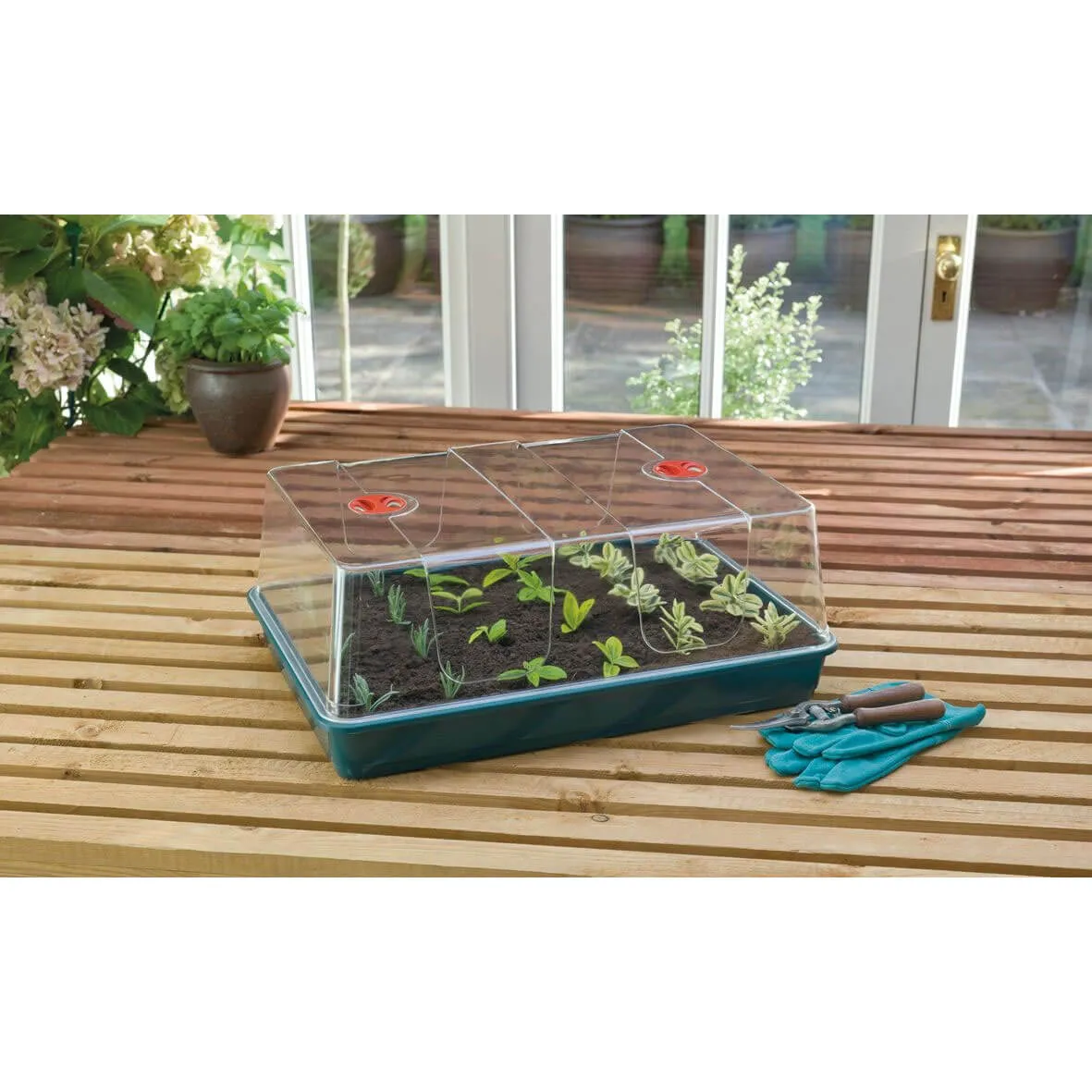 Garland XL High Dome Propagator Green