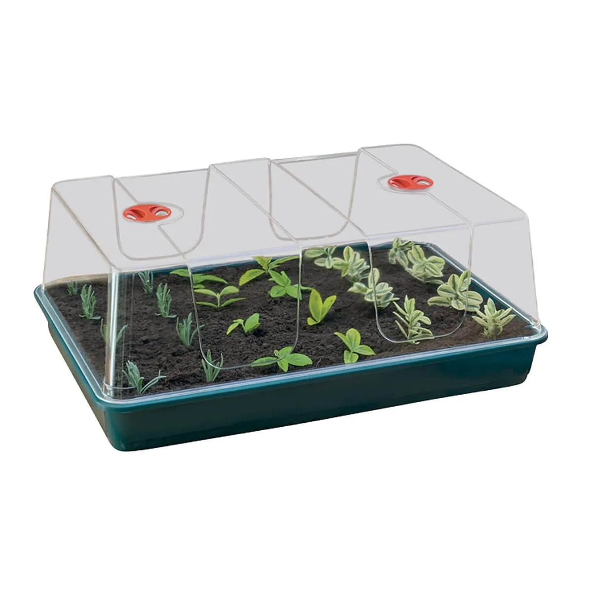 Garland XL High Dome Propagator Green