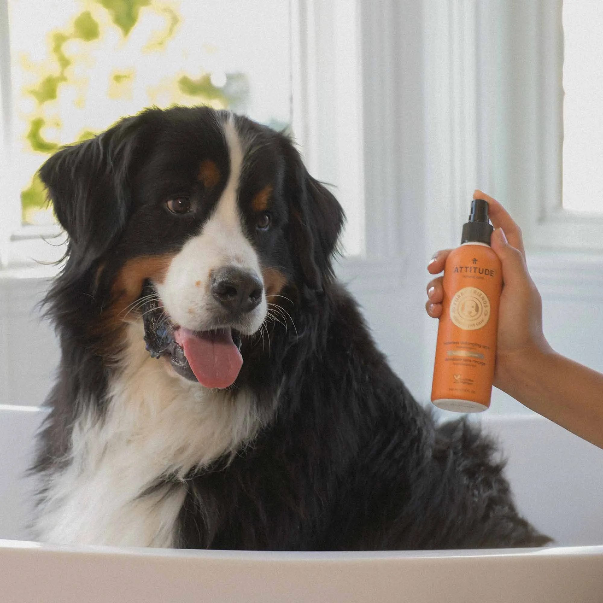 Pet Waterless Anti-Itching Detangling Spray : Lavender